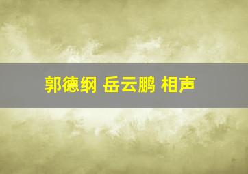 郭德纲 岳云鹏 相声